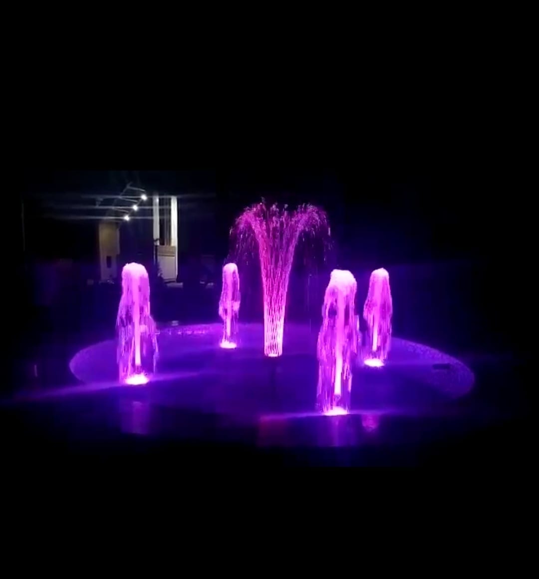 Swimming Pool Project